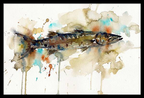Barracuda In Watercolor