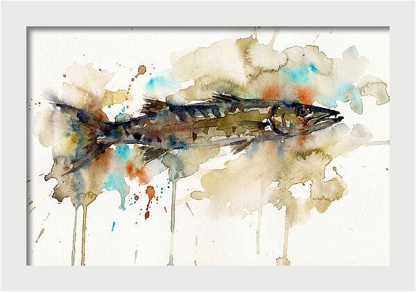 Barracuda In Watercolor