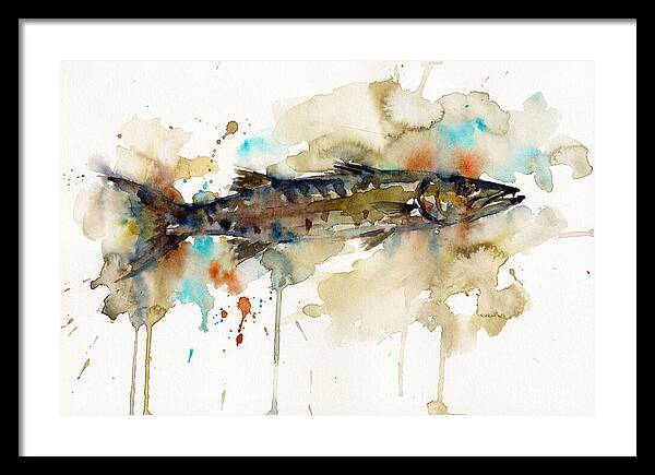 Barracuda In Watercolor