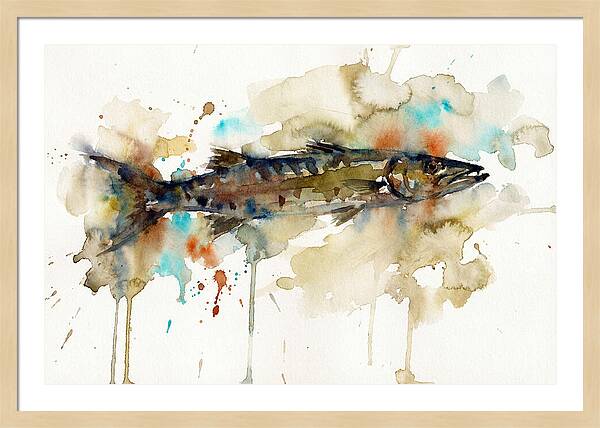 Barracuda In Watercolor