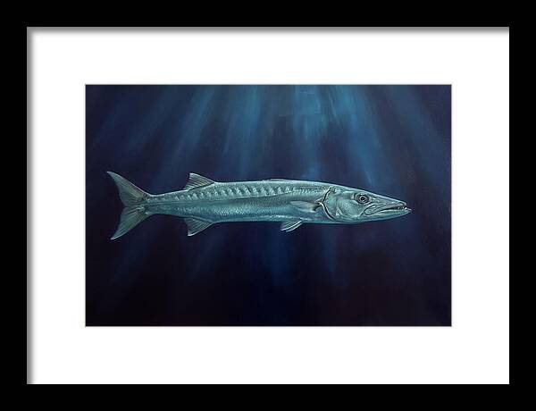 Barracuda Swimming In Depths