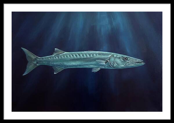 Barracuda Swimming In Depths