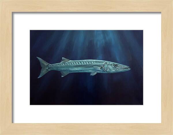 Barracuda Swimming In Depths
