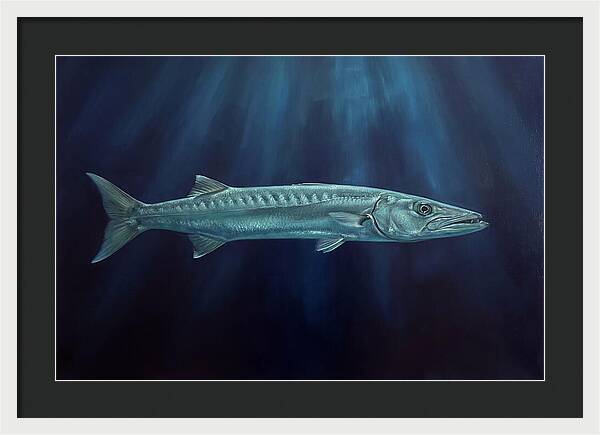 Barracuda Swimming In Depths