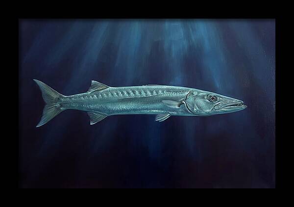 Barracuda Swimming In Depths