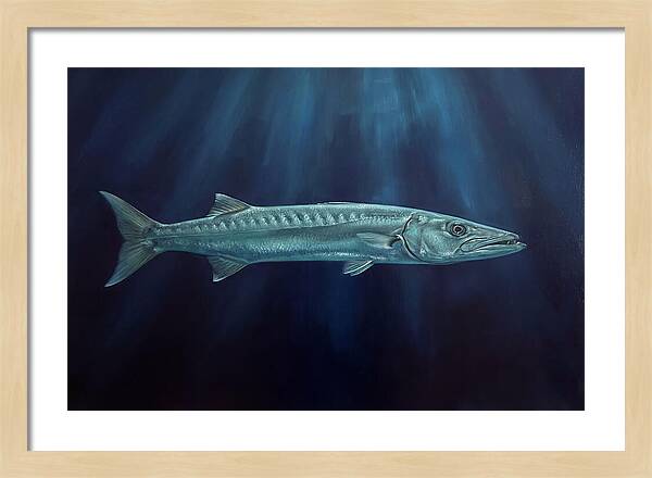 Barracuda Swimming In Depths