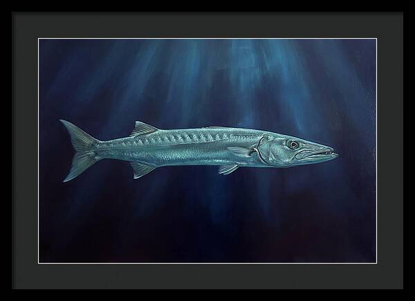 Barracuda Swimming In Depths