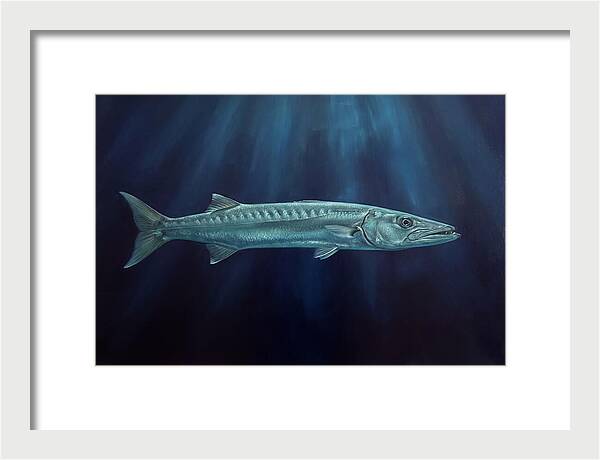 Barracuda Swimming In Depths