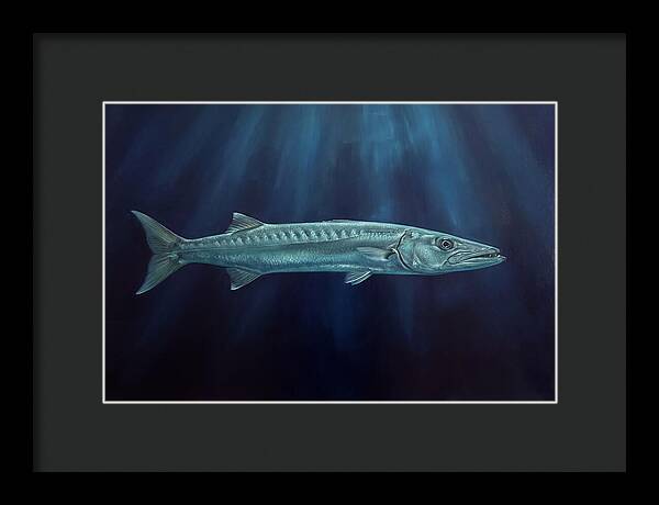 Barracuda Swimming In Depths
