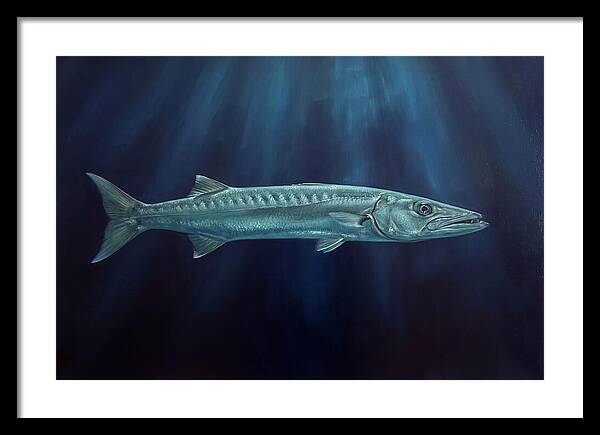 Barracuda Swimming In Depths