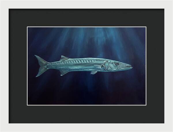 Barracuda Swimming In Depths