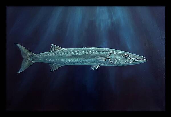 Barracuda Swimming In Depths