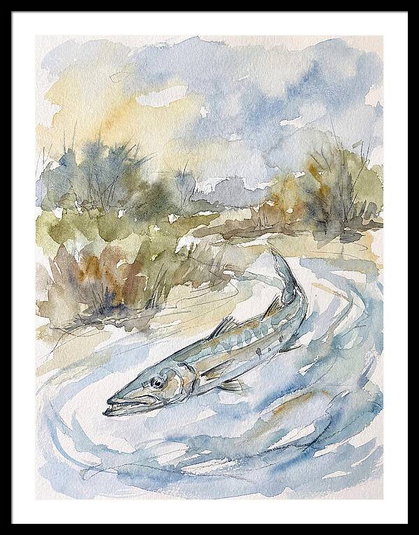 Barracuda Swimming In Serenity
