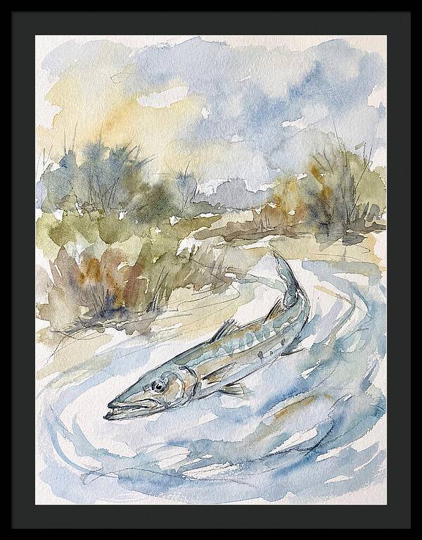Barracuda Swimming In Serenity