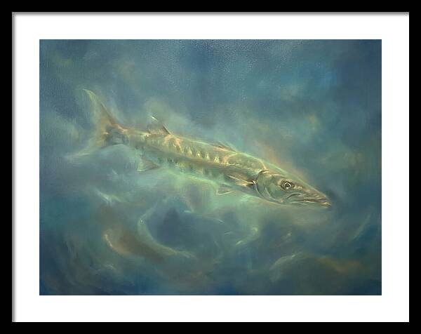 Barracuda Underwater