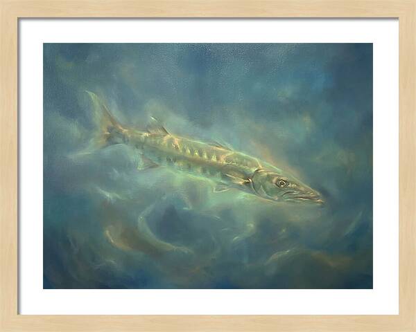 Barracuda Underwater