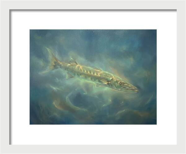 Barracuda Underwater