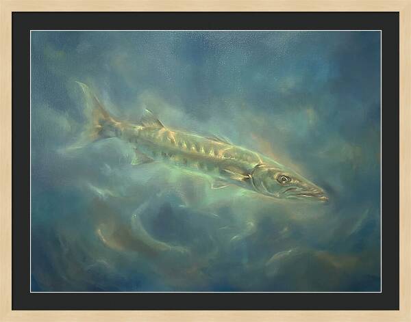 Barracuda Underwater
