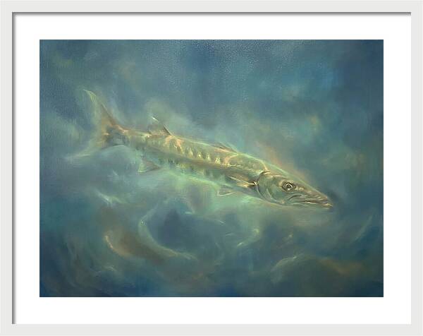 Barracuda Underwater