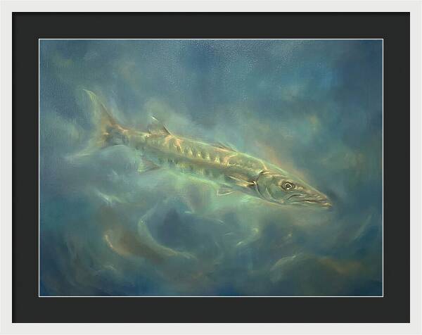 Barracuda Underwater