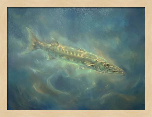 Barracuda Underwater