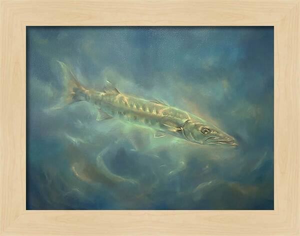 Barracuda Underwater
