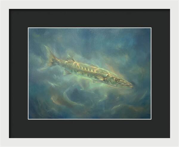 Barracuda Underwater