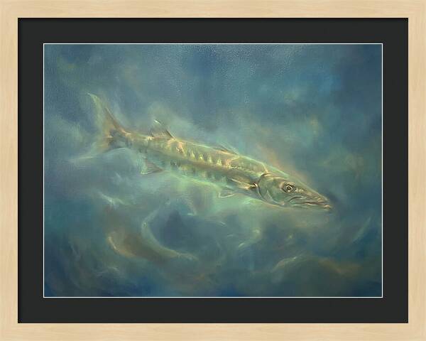 Barracuda Underwater
