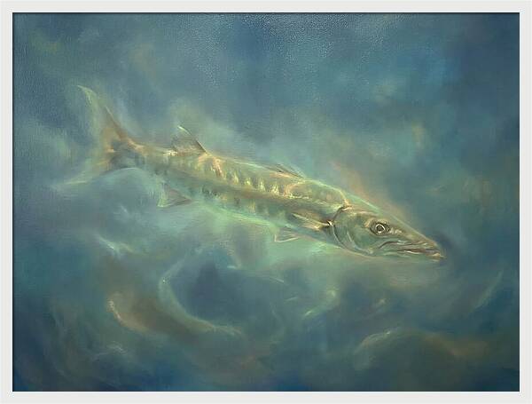 Barracuda Underwater