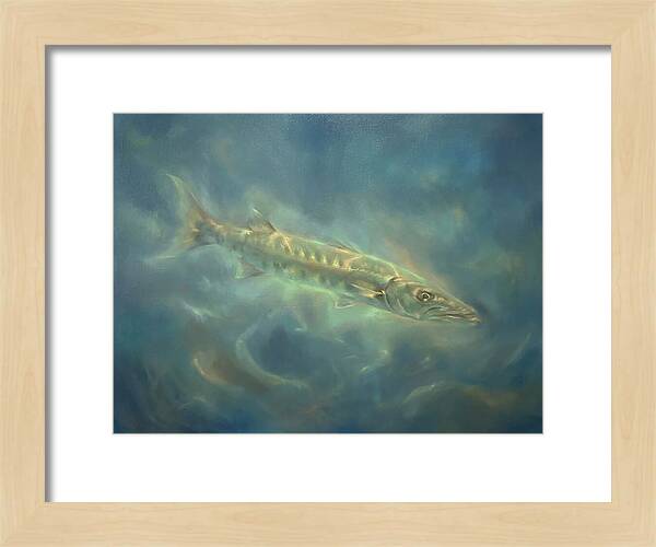 Barracuda Underwater