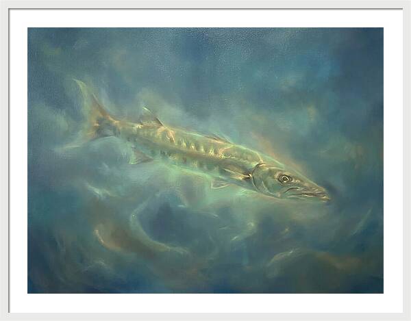 Barracuda Underwater