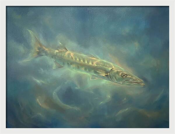 Barracuda Underwater