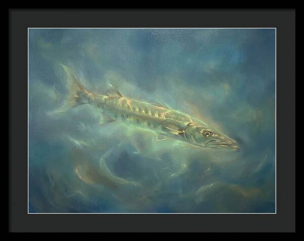 Barracuda Underwater