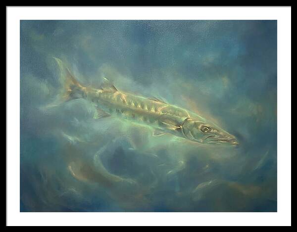 Barracuda Underwater