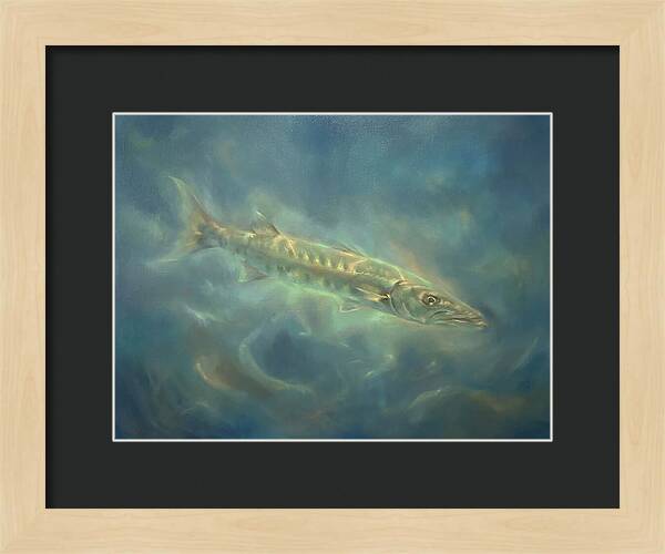 Barracuda Underwater