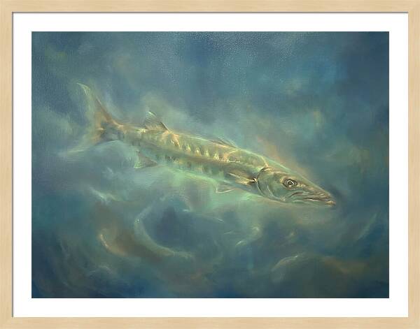 Barracuda Underwater