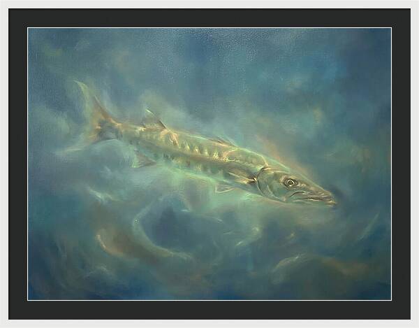 Barracuda Underwater