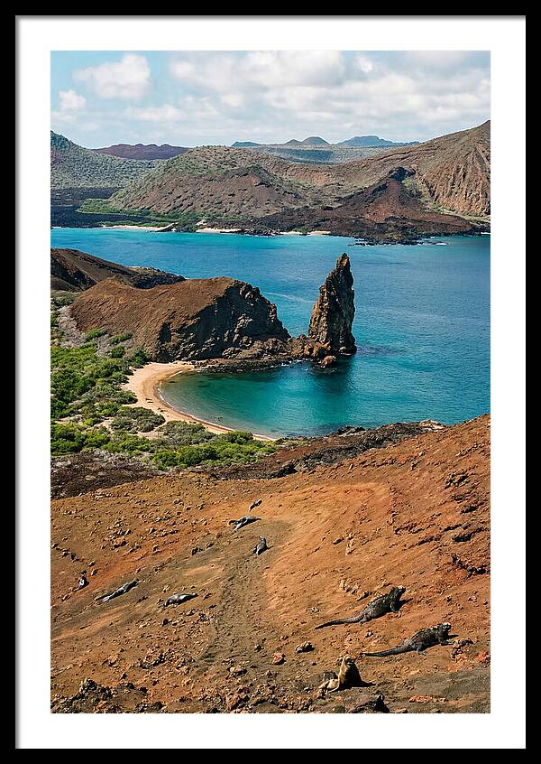 Galapagos Island Art