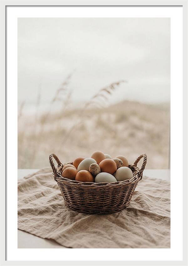 Basket Of Fresh Farm Eggs