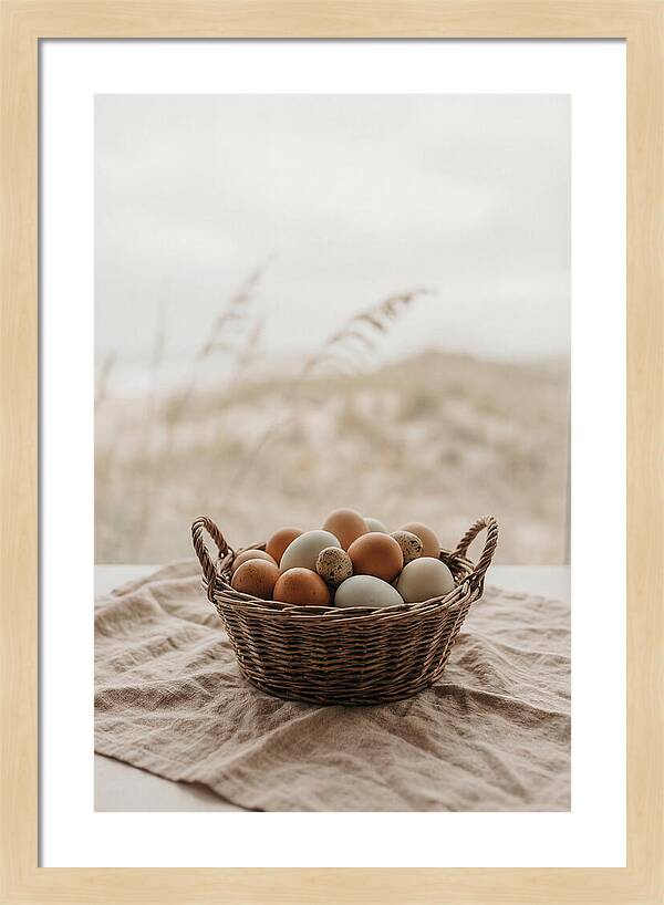Basket Of Fresh Farm Eggs
