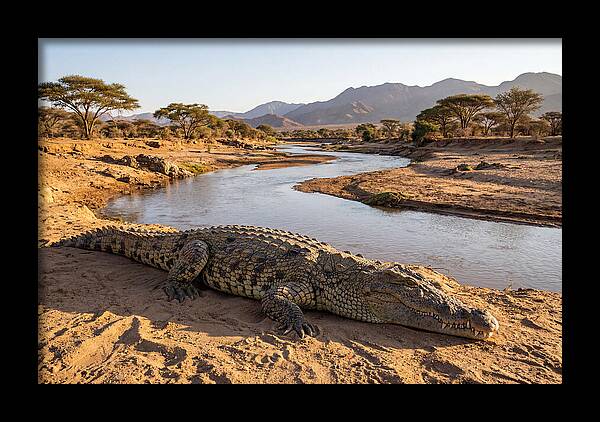 Basking Nile Crocodile
