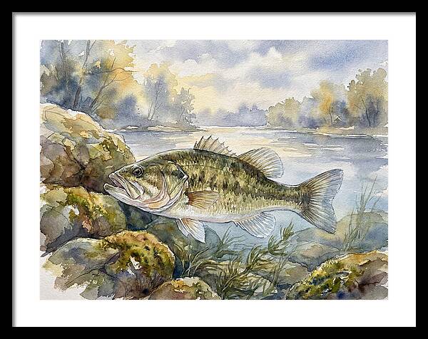 Bass In Tranquil Waters