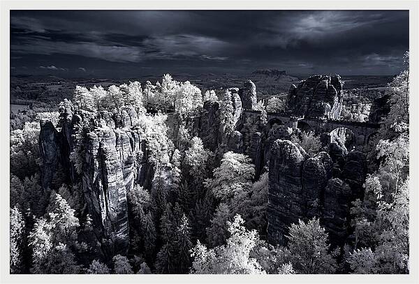 Bastei Rocks Tranquil Vista