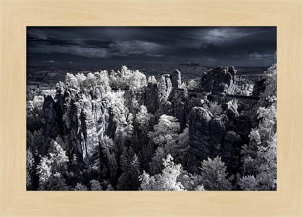 Bastei Rocks Tranquil Vista