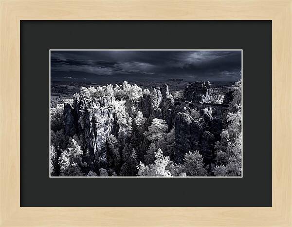 Bastei Rocks Tranquil Vista