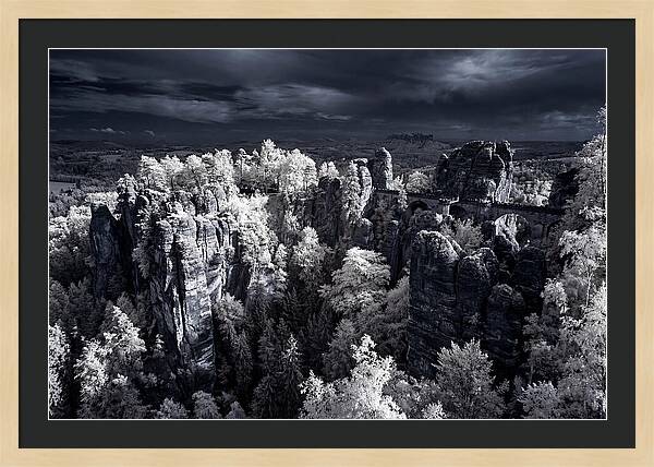Bastei Rocks Tranquil Vista