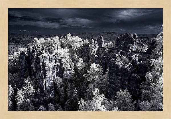 Bastei Rocks Tranquil Vista