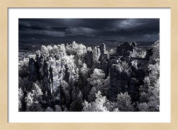 Bastei Rocks Tranquil Vista