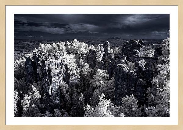 Bastei Rocks Tranquil Vista