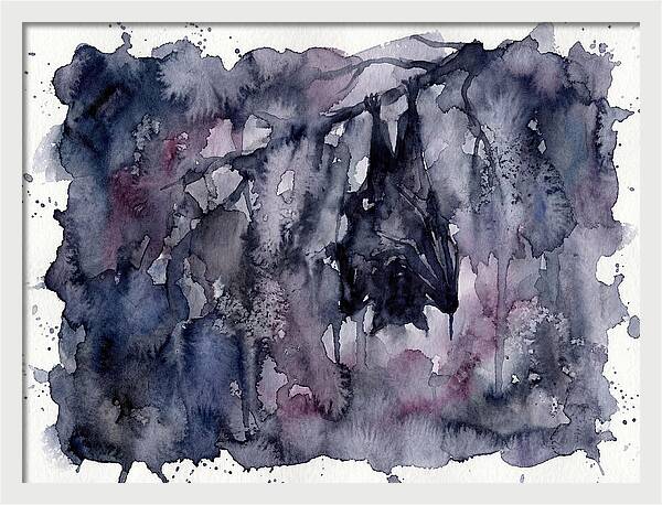 Bat Hanging In Shadows